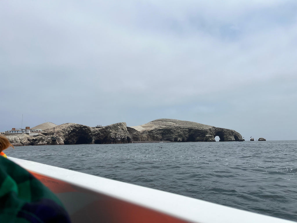 Desde Ica o Huacachina: Islas Ballestas y Reserva Nacional de Paracas
