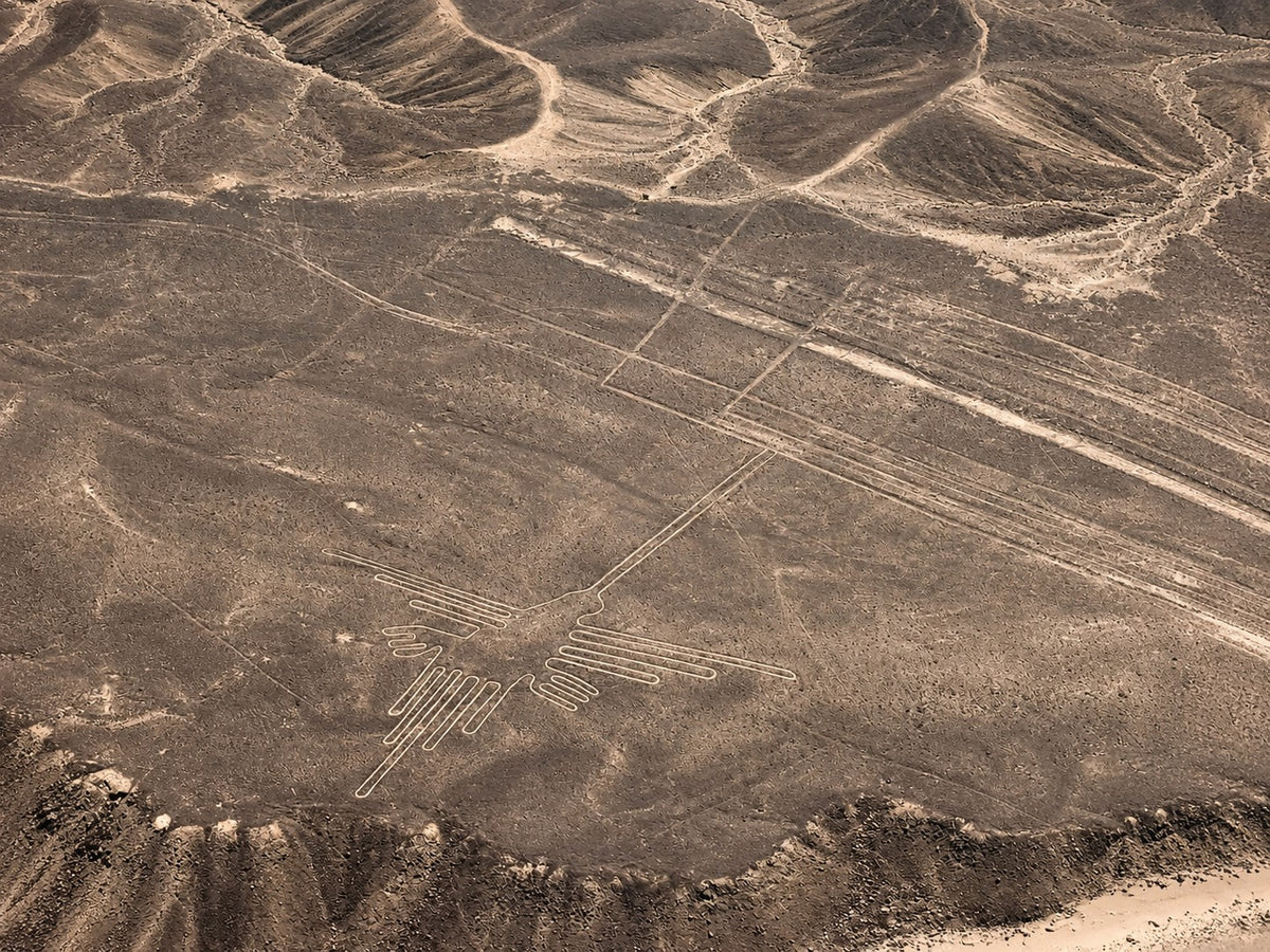 Desde Ica o Huacachina: Sobrevuelo a las Líneas de Nazca