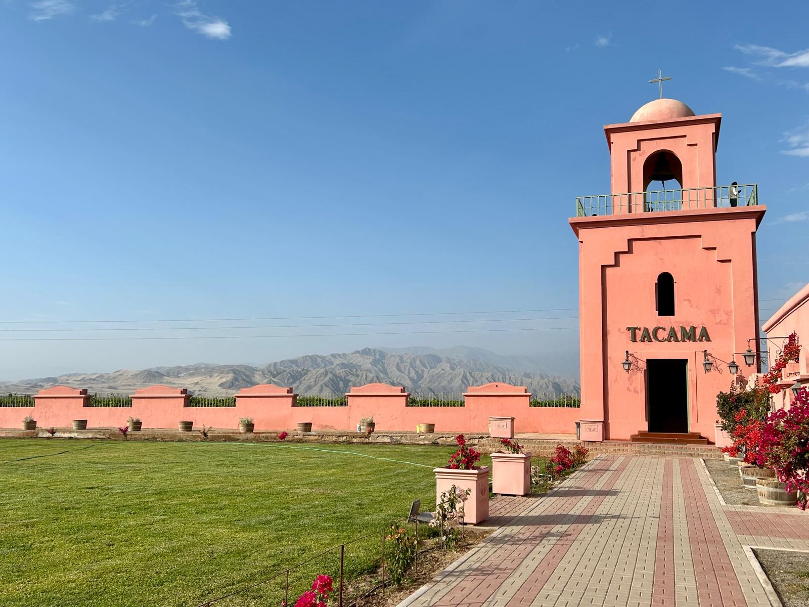 Desde Ica o Huacachina: Experiencia de pisco y vino