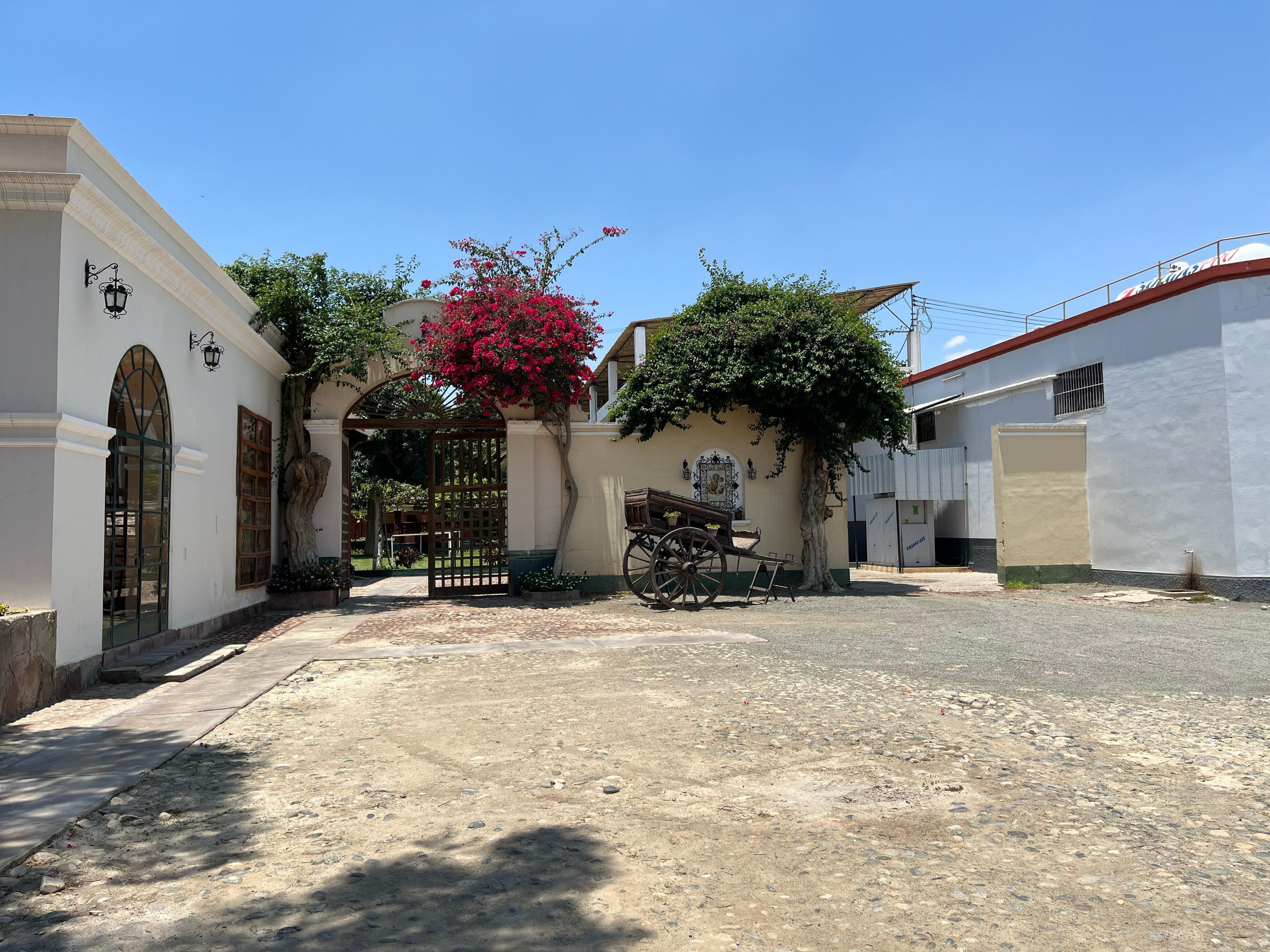 Desde Ica o Huacachina: Experiencia de pisco y vino