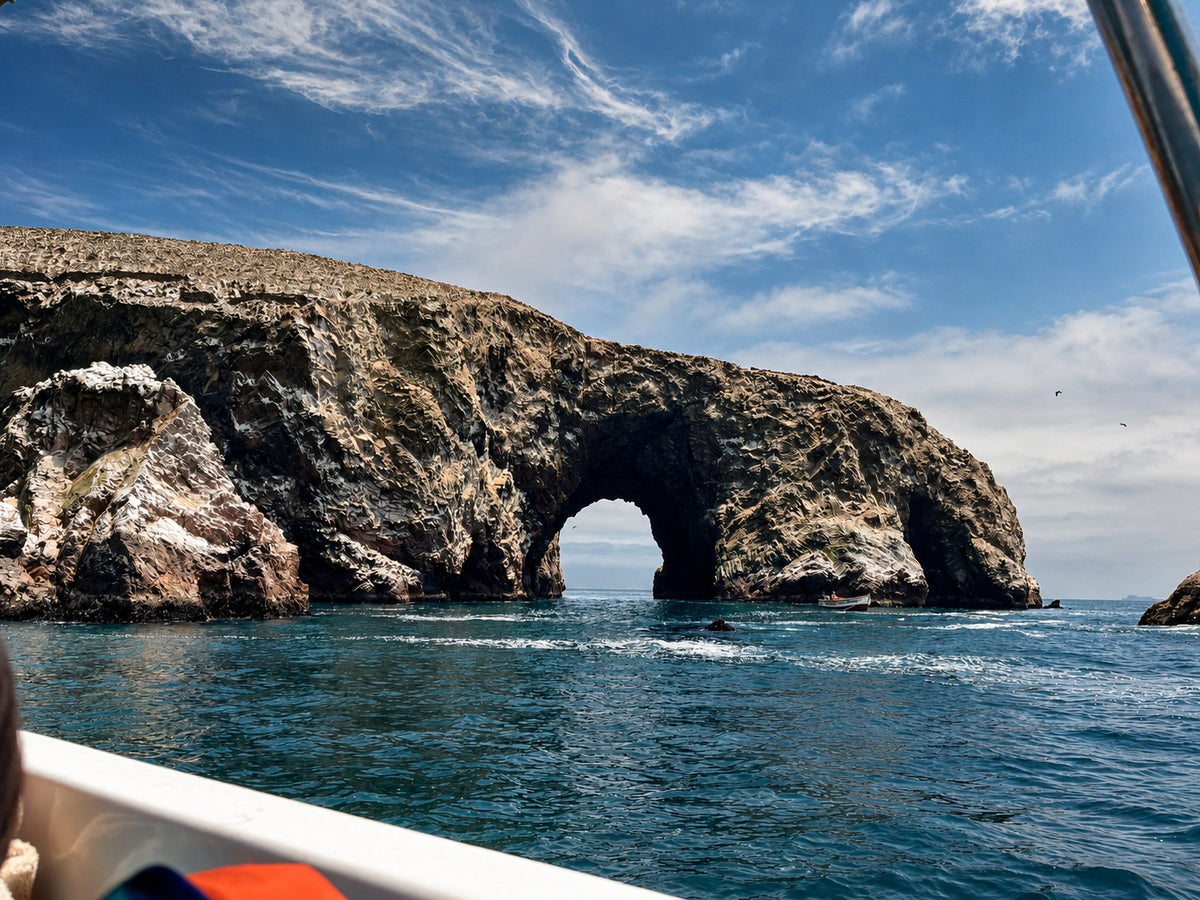 Desde Paracas: Vista Panorámica de la Vida Marina en las Islas Ballestas