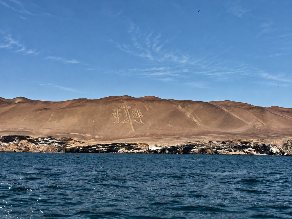 Desde Paracas: Vista Panorámica de la Vida Marina en las Islas Ballestas