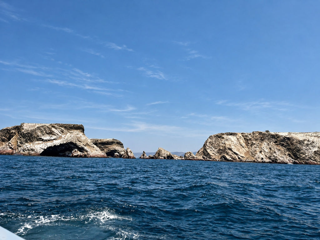 Desde Paracas: Vista Panorámica de la Vida Marina en las Islas Ballestas