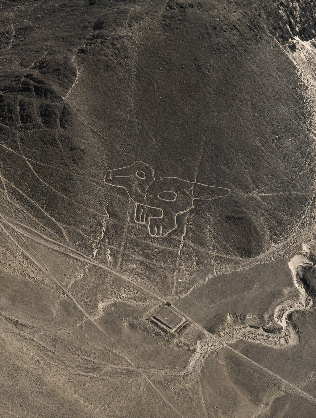 Desde Ica o Huacachina: Sobrevuelo a las Líneas de Nazca