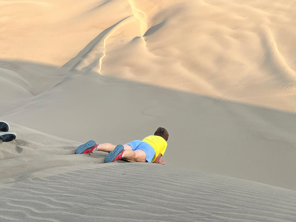 Desde Ica o Huacachina: Sobrevuelo a las Líneas de Nazca y buggy en Huacachina