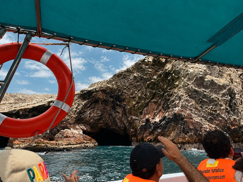 Desde Paracas: Vista Panorámica de la Vida Marina en las Islas Ballestas