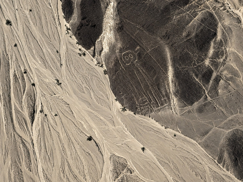 Desde Ica o Huacachina: Sobrevuelo a las Líneas de Nazca
