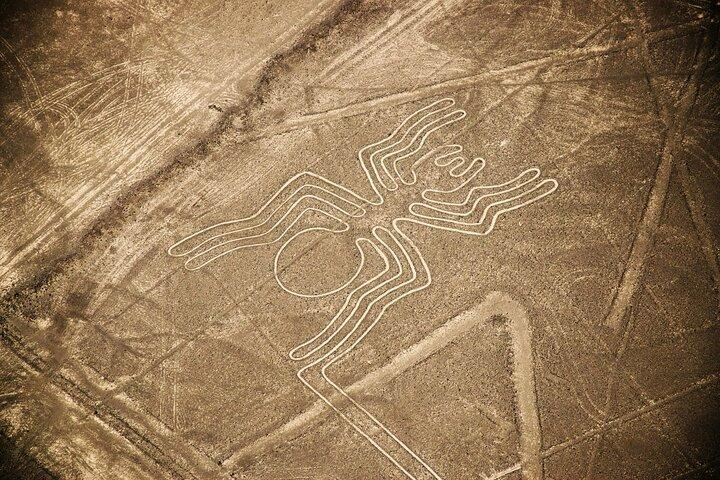 Desde Ica o Huacachina: Sobrevuelo a las Líneas de Nazca