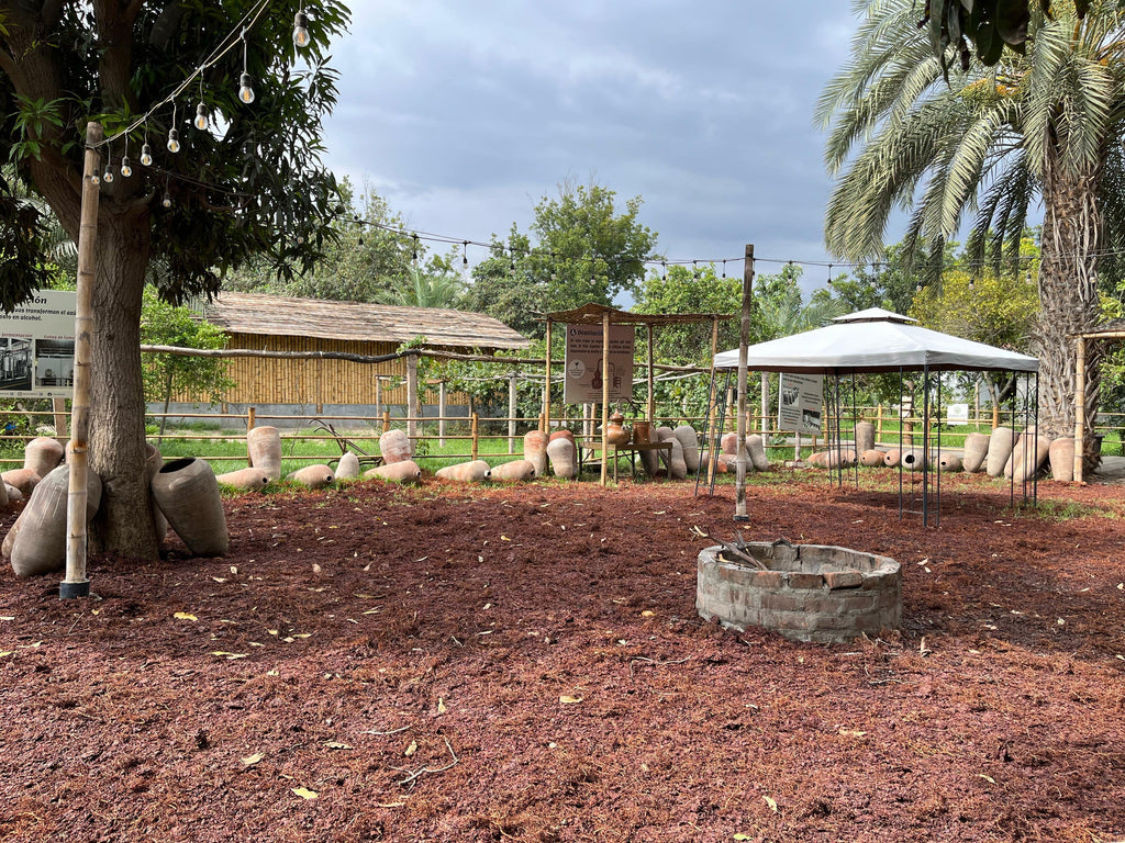 Desde Ica o Huacachina: Experiencia de pisco y vino