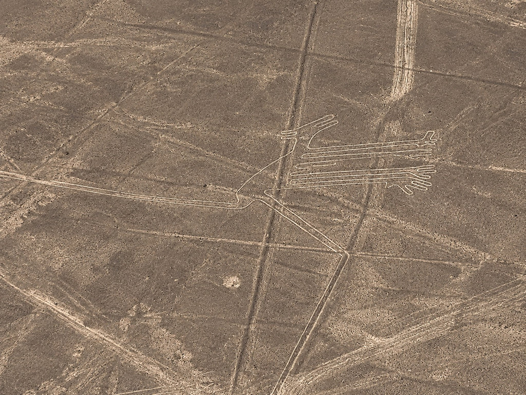 Desde Ica o Huacachina: Sobrevuelo a las Líneas de Nazca