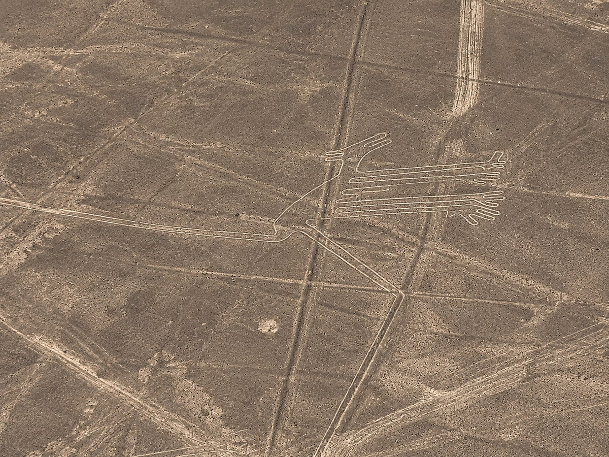 Desde Ica o Huacachina: Sobrevuelo a las Líneas de Nazca