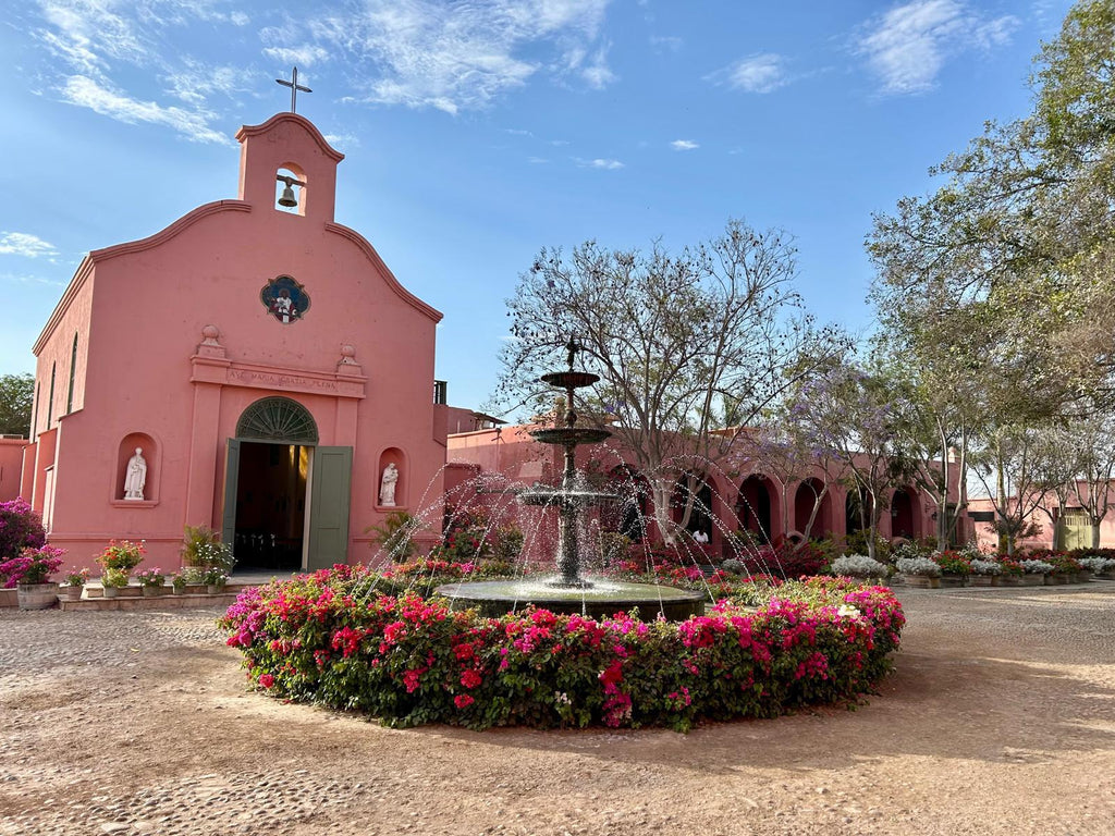 Desde Ica o Huacachina: Experiencia de pisco y vino