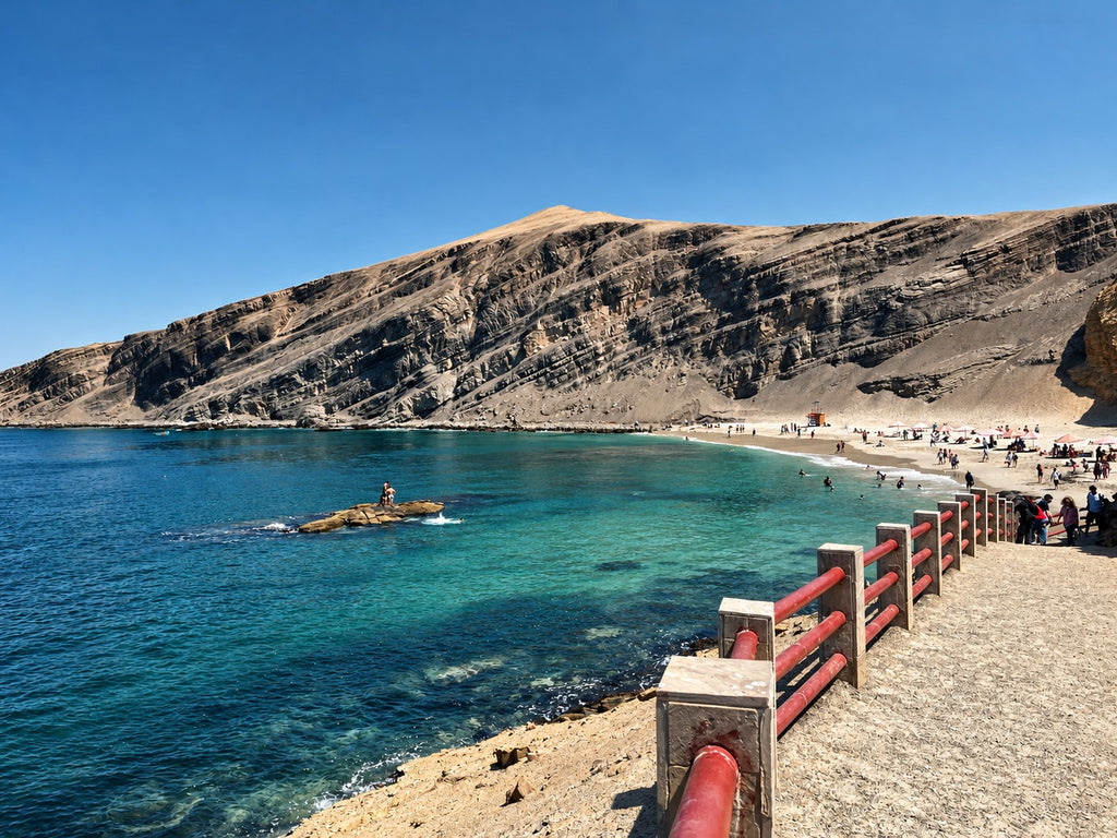Huacachina o Ica: Excursión Islas Ballestas y Reserva Nacional de Paracas