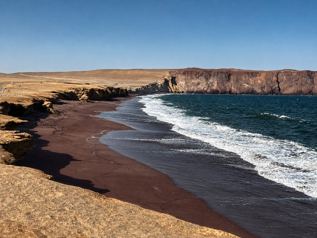 Huacachina o Ica: Excursión Islas Ballestas y Reserva Nacional de Paracas