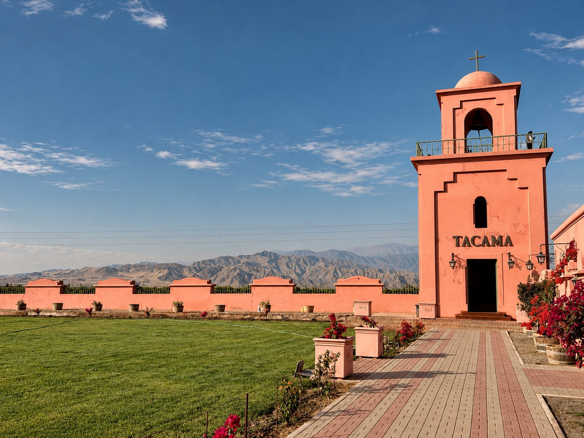 Desde Ica o Huacachina: Experiencia del Pisco y Vino