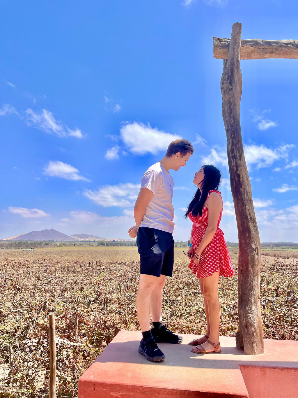 Desde Ica o Huacachina: Experiencia de pisco y vino