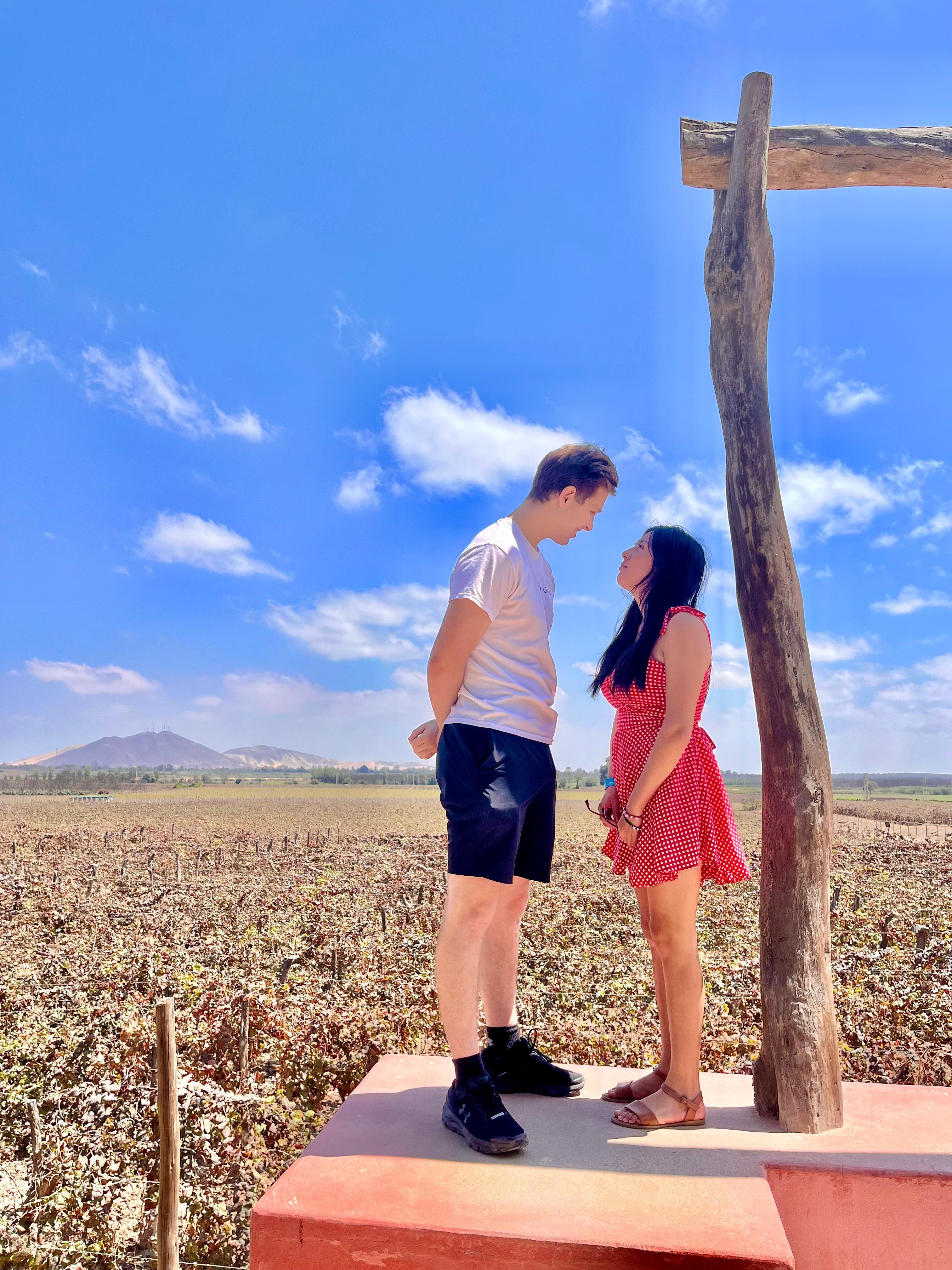 Desde Ica o Huacachina: Experiencia de pisco y vino