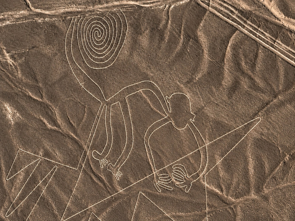 Desde Ica o Huacachina: Sobrevuelo a las Líneas de Nazca