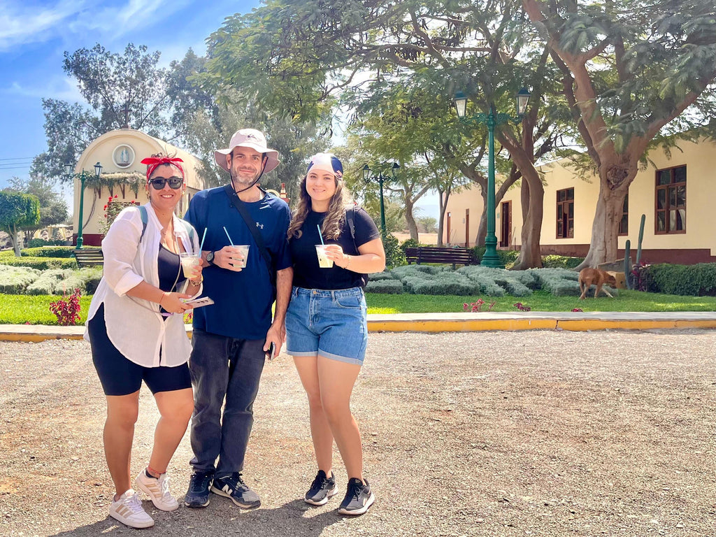 Desde Ica o Huacachina: Experiencia de pisco y vino