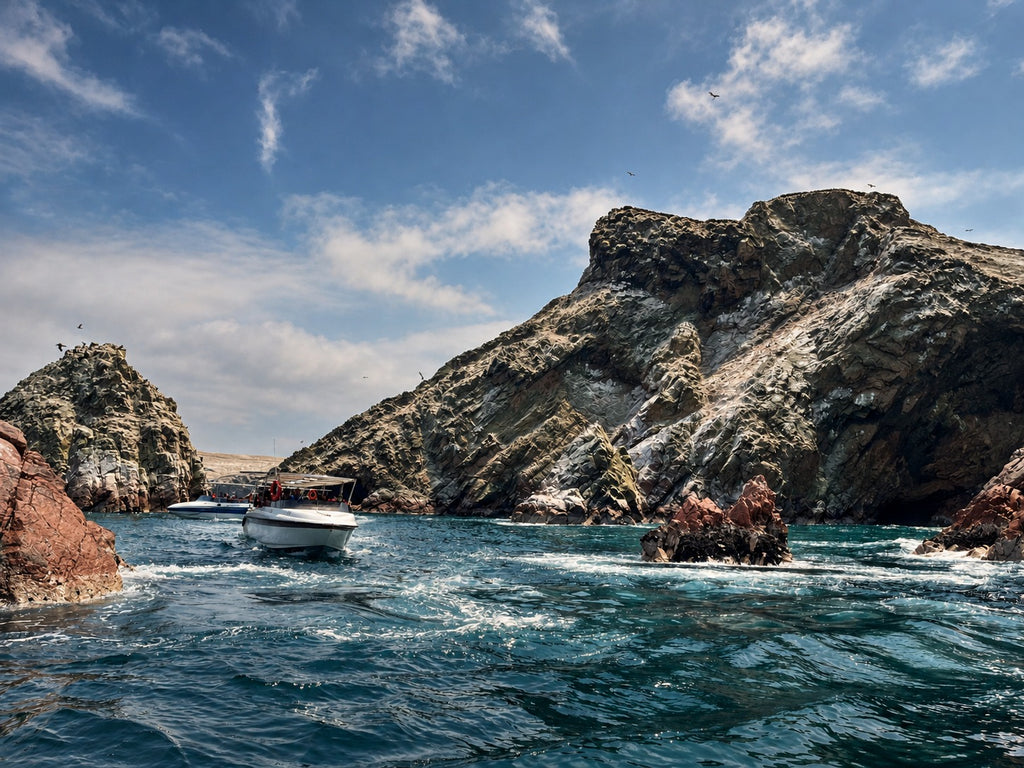 Desde Paracas: Vista Panorámica de la Vida Marina en las Islas Ballestas