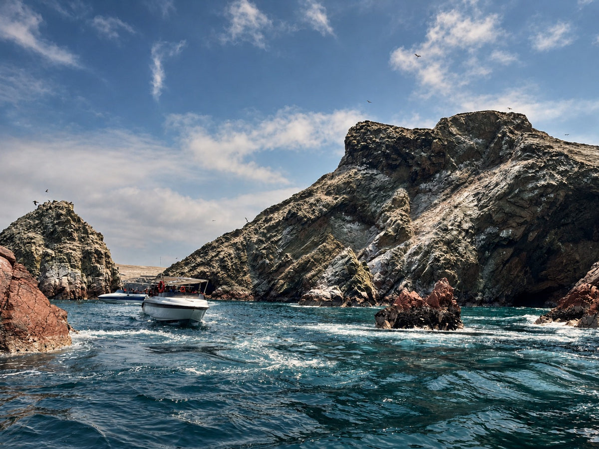 Desde Paracas: Vista Panorámica de la Vida Marina en las Islas Ballestas