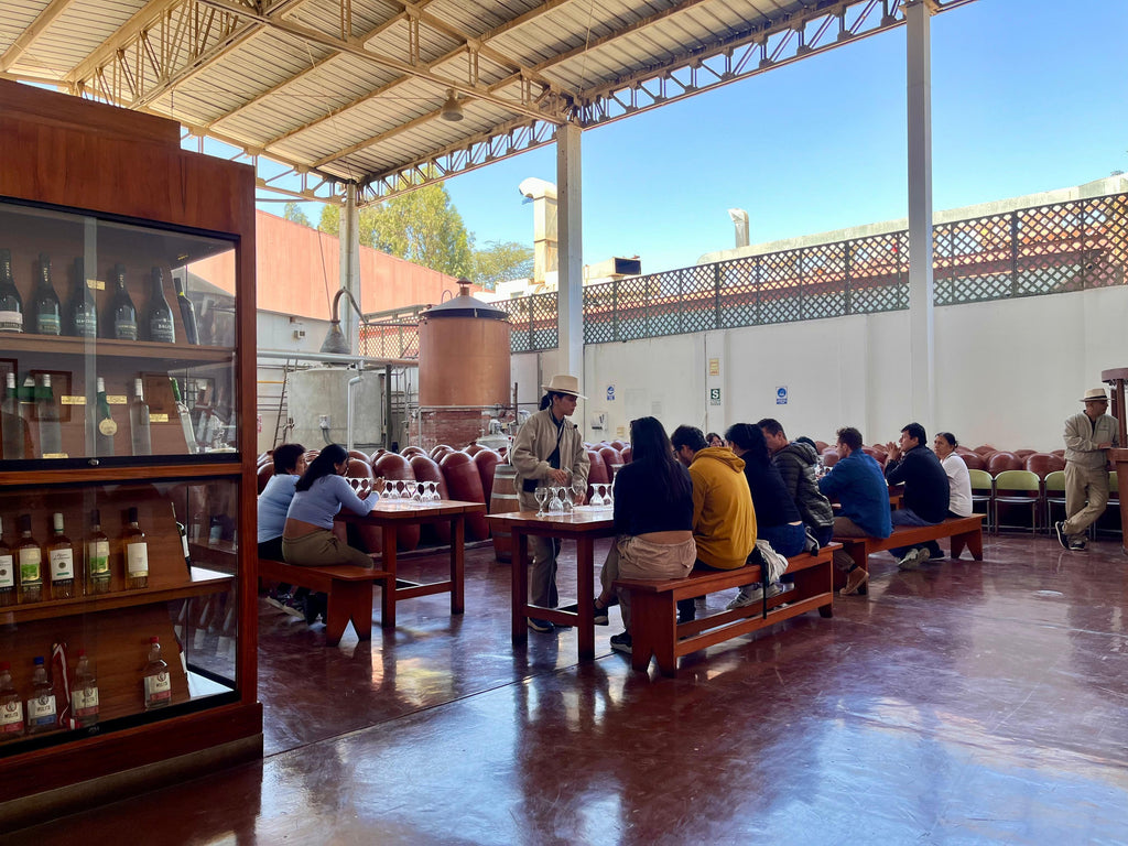 Desde Ica o Huacachina: Experiencia de pisco y vino