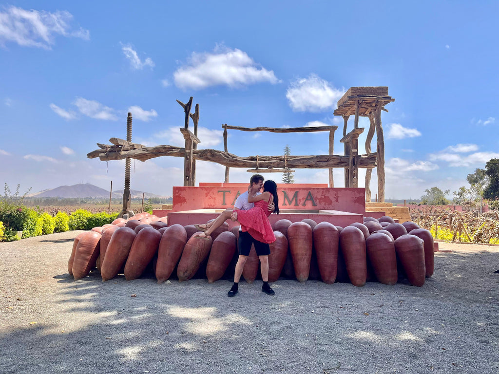 Desde Ica o Huacachina: Experiencia del pisco y vino, y buggy al atardecer