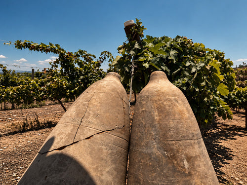 Desde Ica o Huacachina: Experiencia del Pisco y Vino