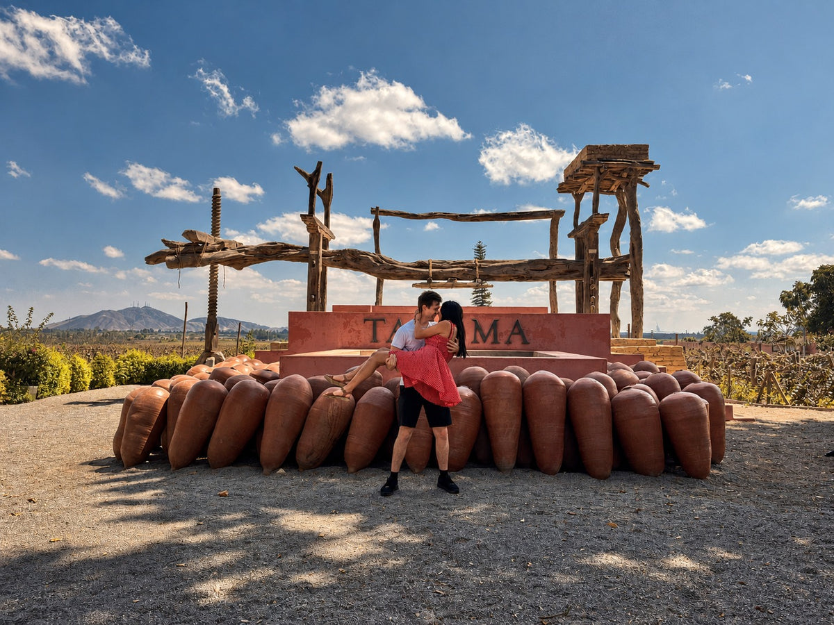 Desde Ica o Huacachina: Experiencia del Pisco y Vino