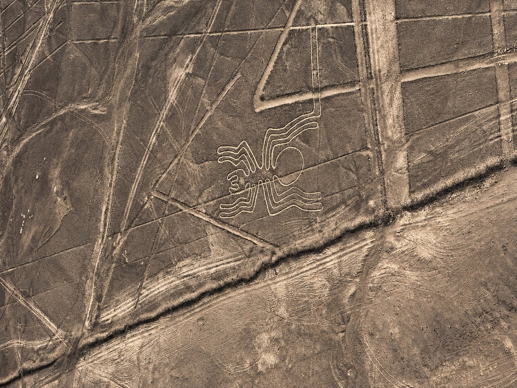Desde Ica o Huacachina: Sobrevuelo a las Líneas de Nazca