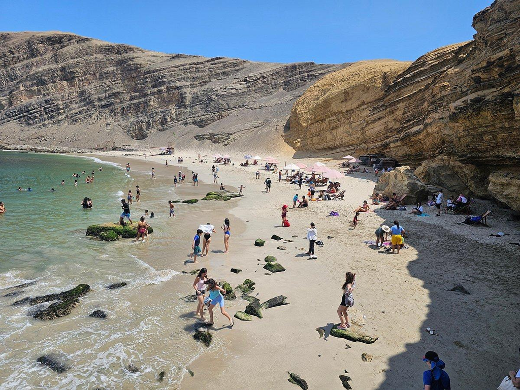 Desde Ica o Huacachina: Islas Ballestas y Reserva Nacional de Paracas